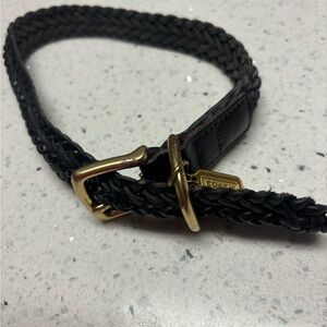 Brown leather Coach dog collar with brass buckle